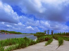 -春花秋色城市公园