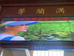 -茅兰沟国家森林公园