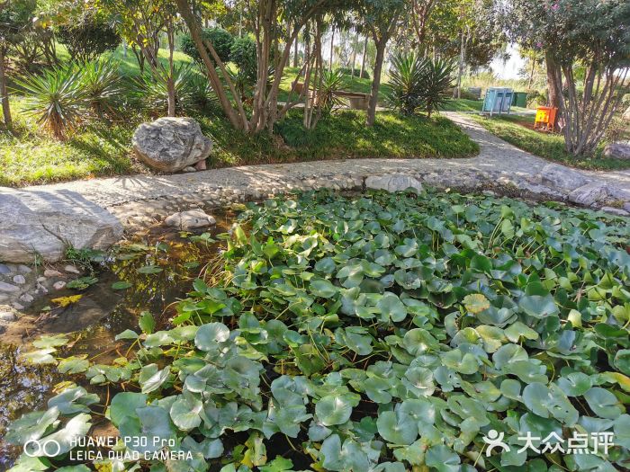 郑东新区湿地公园图片