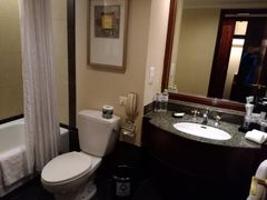 -成都天府丽都喜来登饭店