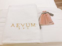 -奥斯芬欧系贵族SPA