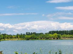 -东郊湿地公园
