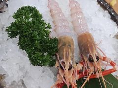 -菊上日式料理(蚌埠银泰店)