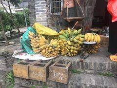 -扬美古镇景区