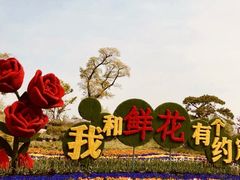 -南通鲜花小镇