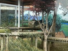 -苏州太湖国家湿地公园