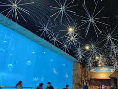 -华夏文旅海洋公园