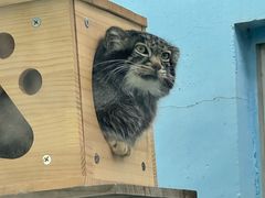 -青藏高原野生动物园
