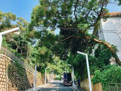 -彳亍咖啡·这里(水湾路店)