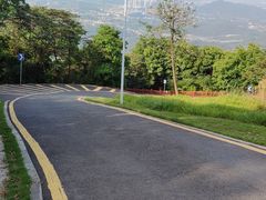 -黄埔油麻山森林公园