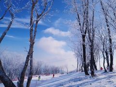 -中旅松花湖滑雪场