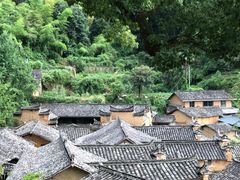 -杨家堂村