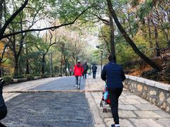 -灵岩山风景区