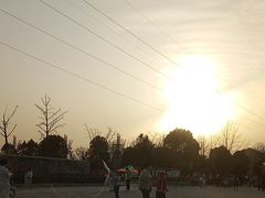 -商丘市人民公园
