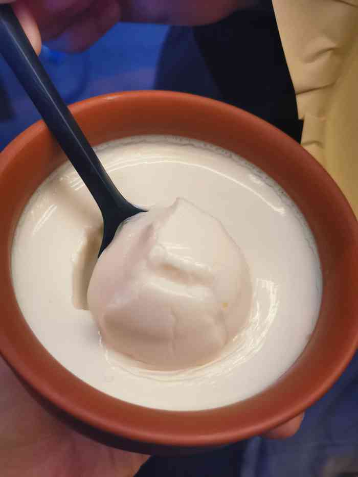 tuktuk印度手工酸奶(奎星楼店)