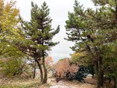 景点-虞山风景区