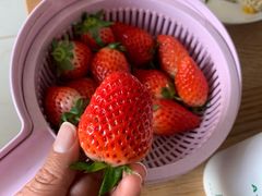 -堤口果品批发市场