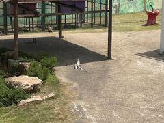 -无锡动物园·太湖欢乐园
