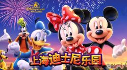 -翱翔飞越地平线