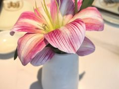 -船歌·鱼水饺青岛菜(枫蓝国际购物中心店)