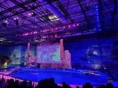 -华夏文旅海洋公园