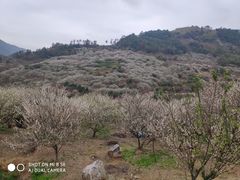 -福建天门山