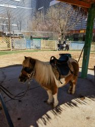 -萌宠亲子动物乐园(槐房万达店)