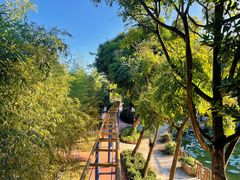 -揭东万竹园旅游景区