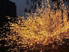 -海合安武汉极地海洋公园