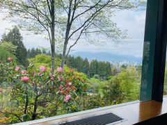 -四季餐厅