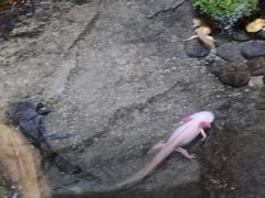 -青青世界