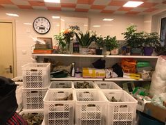 -璐坊粽王(复兴中路店)