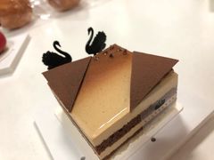 -BLACKSWAN黑天鹅(环球店)
