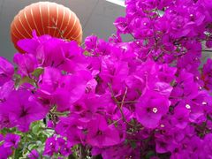 -德宏芒市国际机场