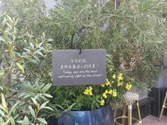-比斯特上海购物村精品奥特莱斯