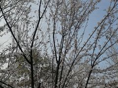 -艾溪湖湿地公园