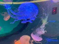 -南昌融创海世界