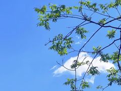 -黑龙江省森林植物园
