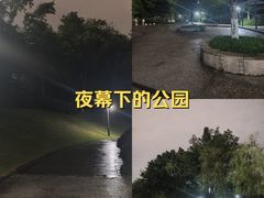 -沐仙湖湿地公园