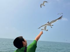 -海驴岛(荣成市)