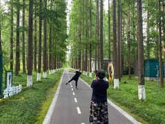 -黄海国家森林公园