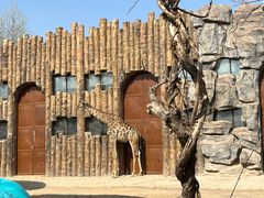 -济南野生动物世界