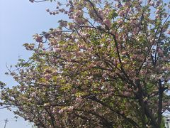 -贵阳市花溪国家城市湿地公园