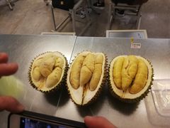 -都念榴莲·城市榴莲