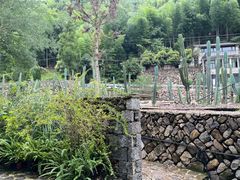 -MOJ coffee(瓯海泽雅水碓坑店)