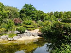 -吴淞炮台湾湿地森林公园烧烤区