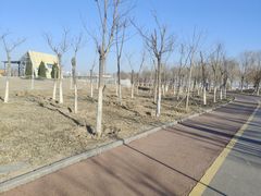 -天津东丽湖风景区