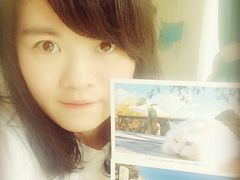 Anne猫窝咖啡屋-Anne猫窝咖啡屋