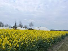 -中国天府农业博览园