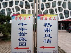 -泰山花样年华景区